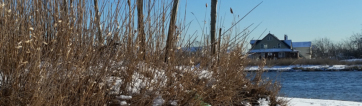 bayswater trails waterfront