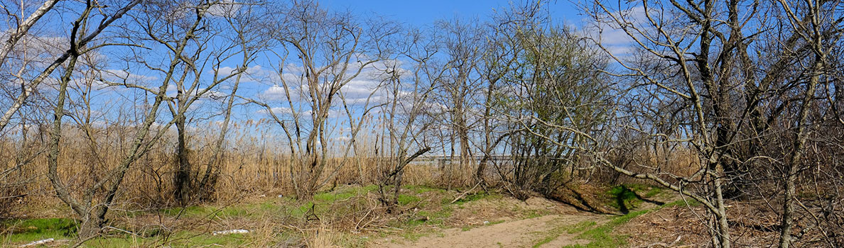 paerdegat basin hiking trails