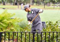 Parks Opportunity Program worker breaking branches