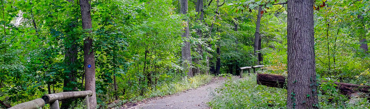 forest park hiking trail