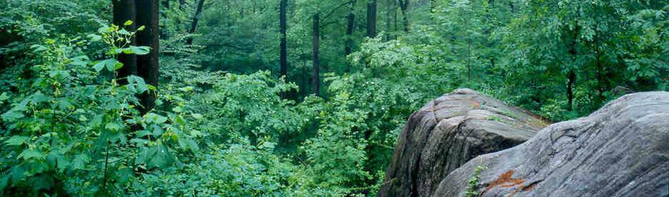 van cortlandt park hiking trails