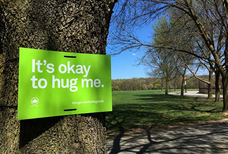 A sign safely tied to a tree that reads "It’s okay to hug me."