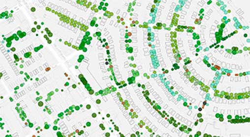 Section of map showing different size and color circles representing trees, over a street map