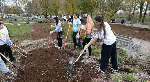 A group of volunteers with rakes smooth down much in a park