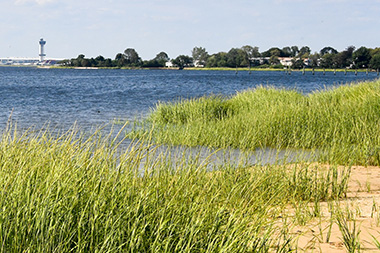 view of a salt marsh on the coastline of a neighborhood