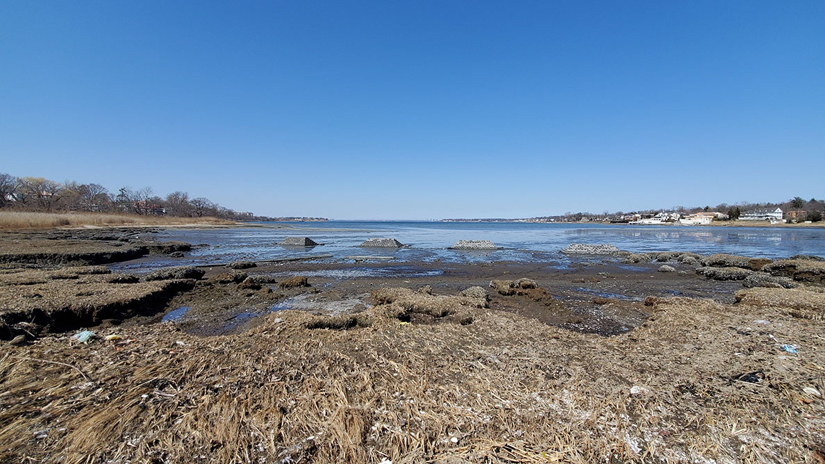 a deteriorated salt marsh