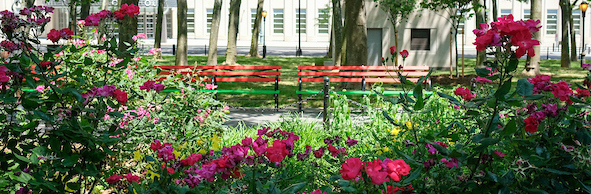 benches in the Pan-African colors on display at the Juneteenth Grove in Cadman Plaza Park