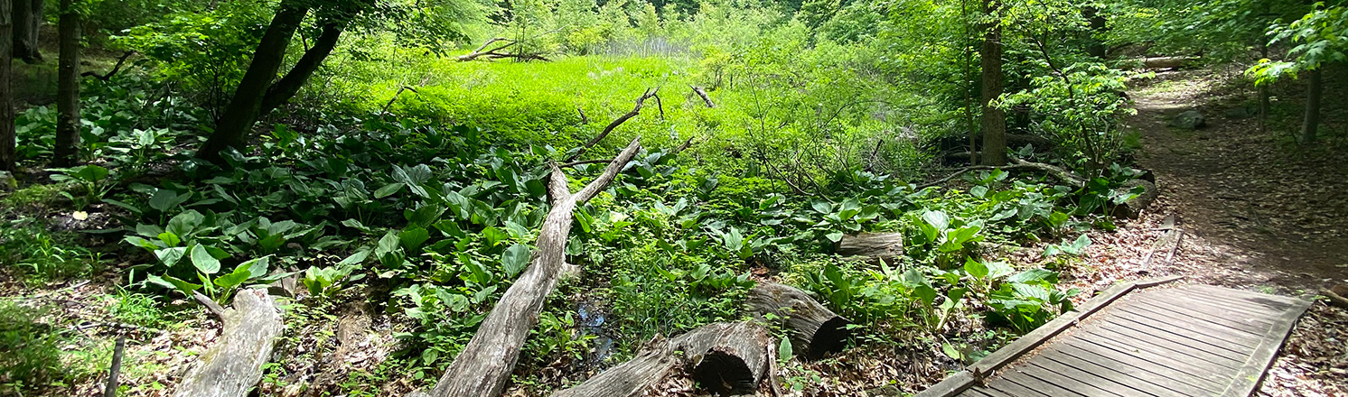 Greenbelt hiking trails