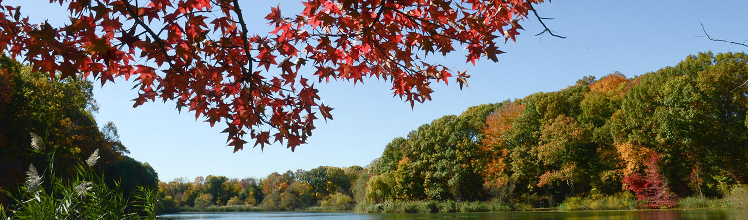 fall foliage at Oakland Lake in Alley Pond Park