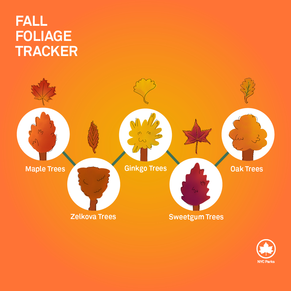 Link to Fall Foliage Tracker.