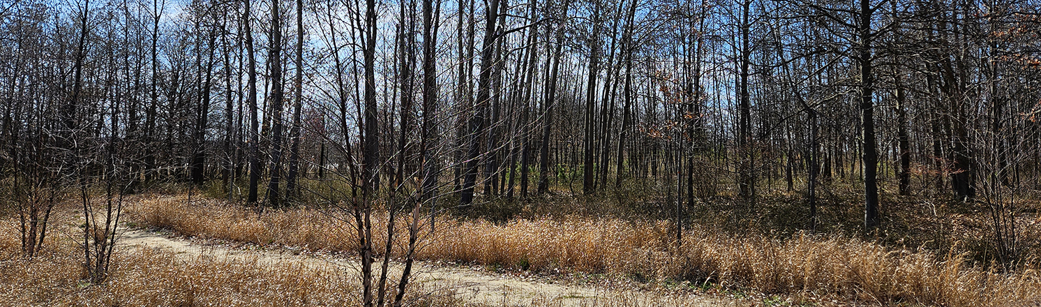 Fairview hiking trails