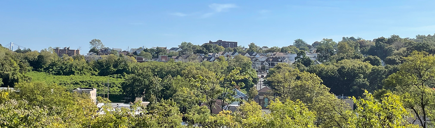 Jones Woods Park hiking trails