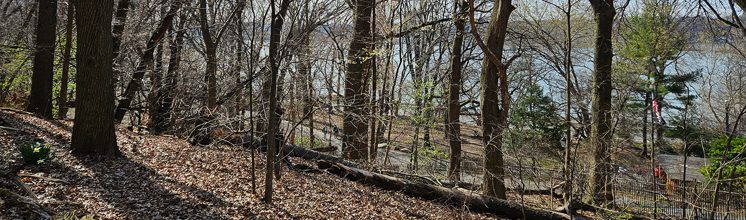 Riverside Park hiking trails