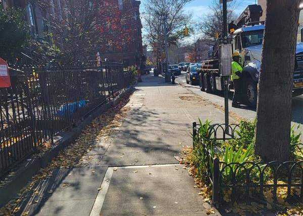 A sidewalk tree on a fairly busy street.