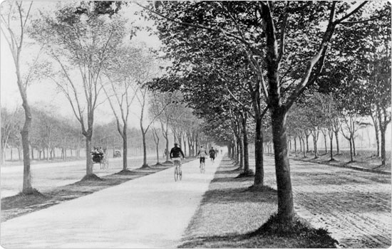 Ocean Parkway bicycle path, circa 1894. Neg. AR1099 Image of Ocean Parkway bicycle path, circa 1894. Neg. AR1099
