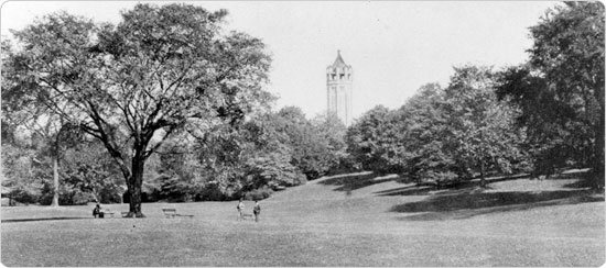 The Long Meadow in Prospect Park, looking north, circa 1897. Neg. AR1242 Image of The Long Meadow in Prospect Park, looking north, circa 1897. Neg. AR1242