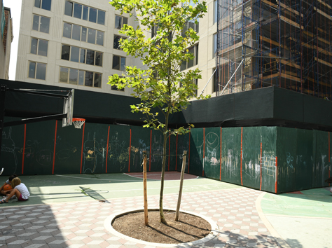 Tree planted next to De Salvio Playground in the Summer. NYC Parks / M.Pinckney