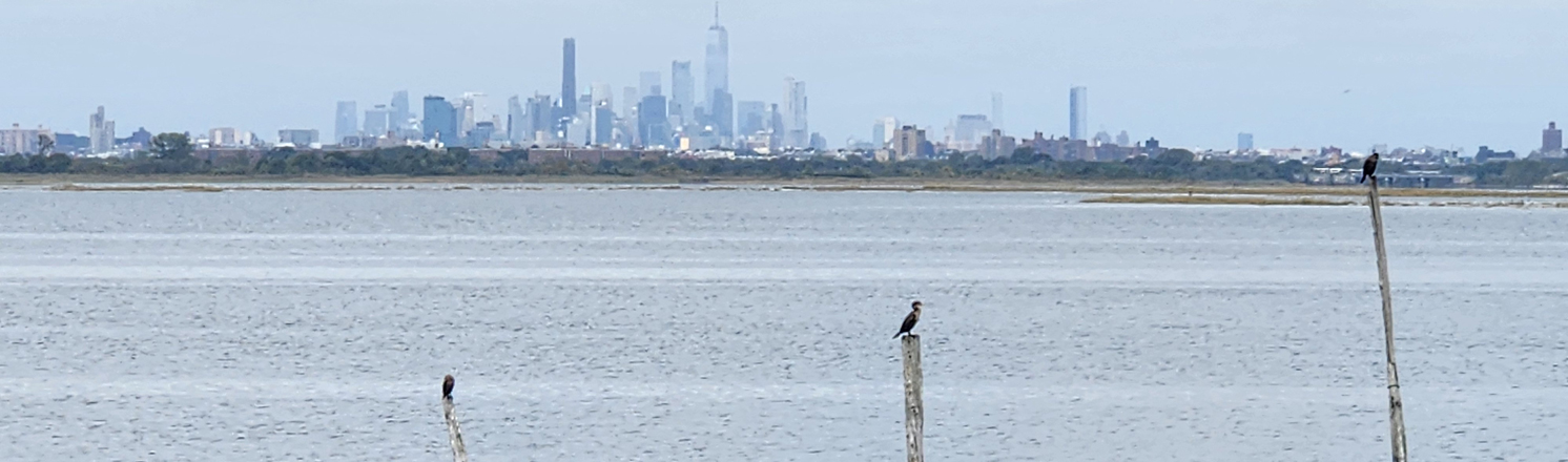 Broad Channel American Park & Sunset Cove Park Hiking Trails