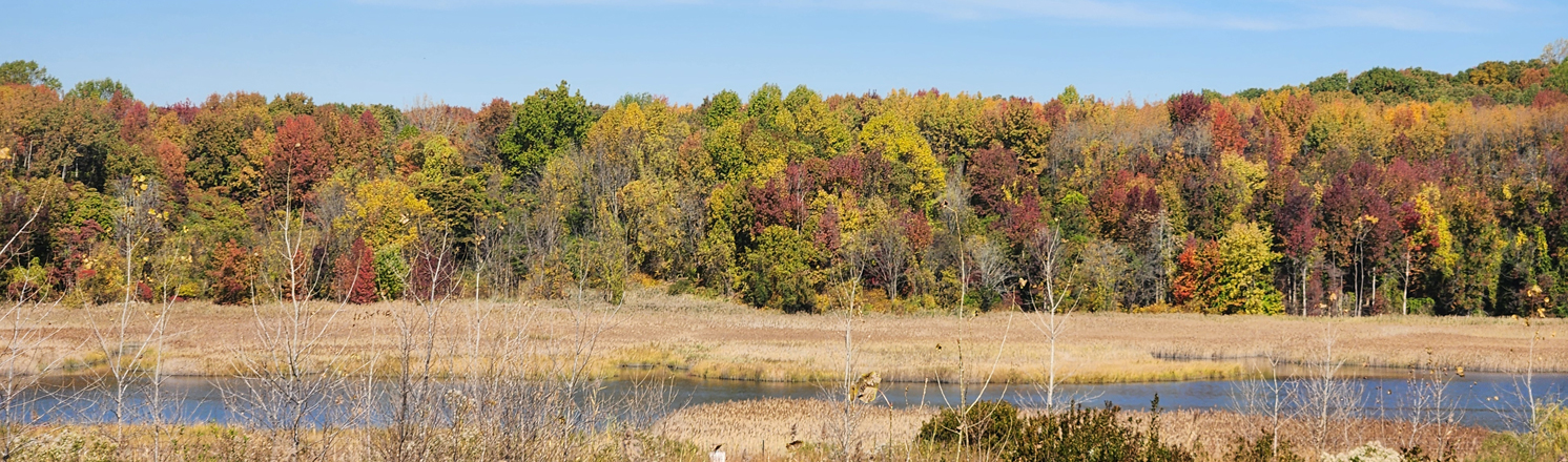 Brookfield Park hiking trails