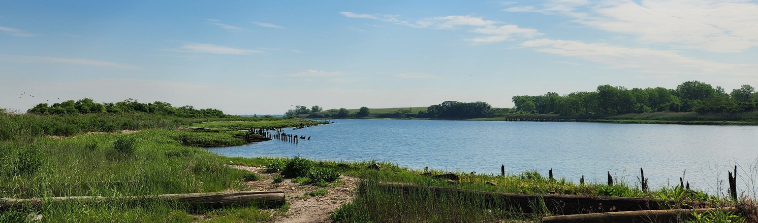 Dubos Point Wildlife Preserve hiking trails