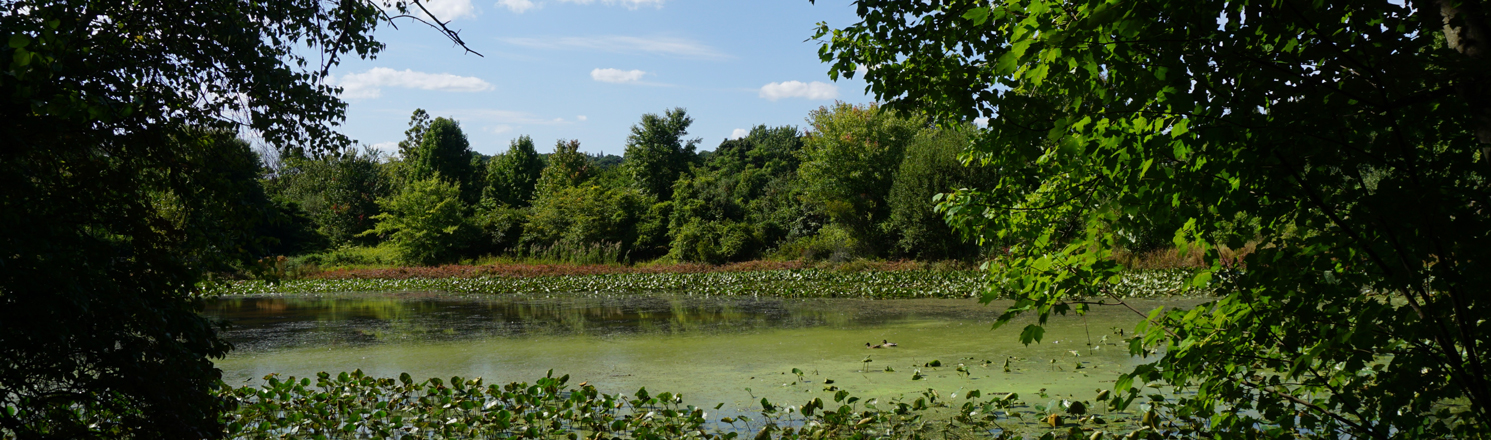 Eibs Pond Park hiking trails