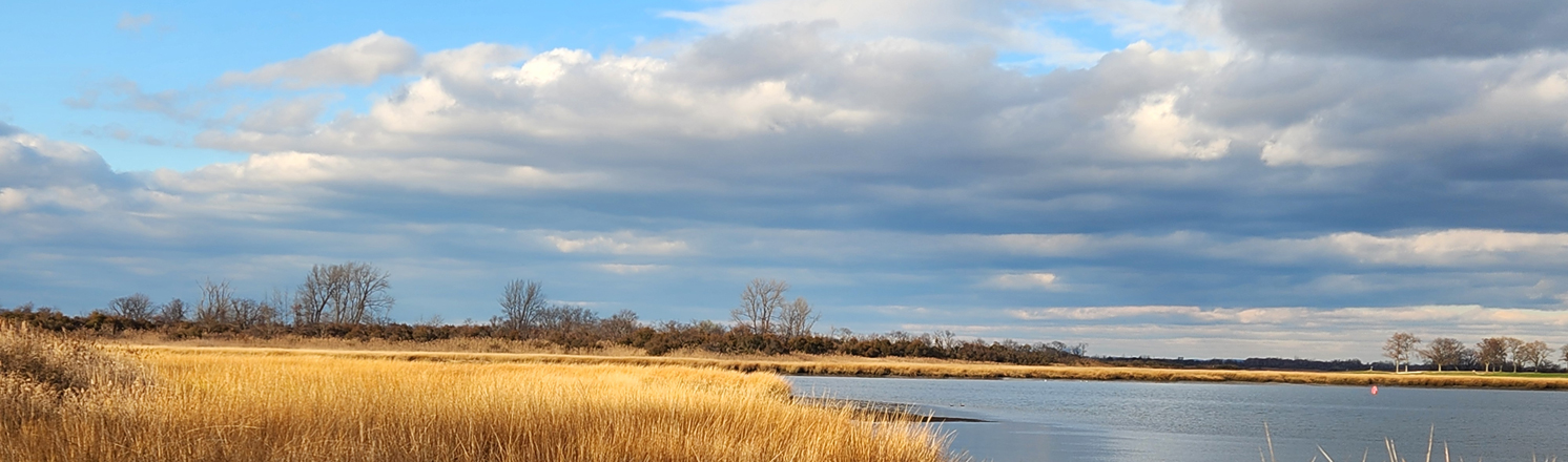 Jamaica Bay Park hiking trails