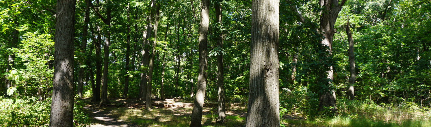 King Fisher Park hiking trails