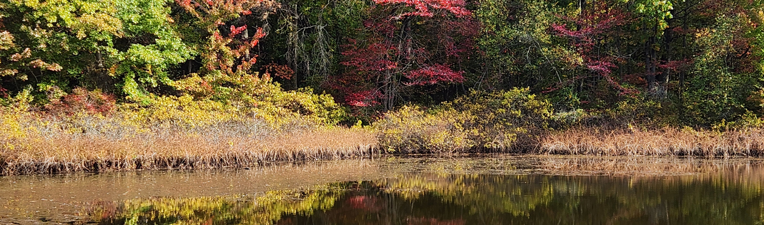 Long Pond Park hiking trails