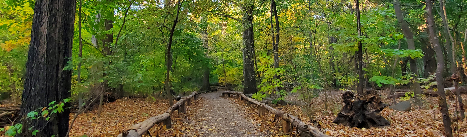 Prospect Park hiking trails