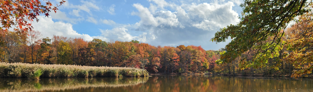 Wolfe's Pond Park hiking trails