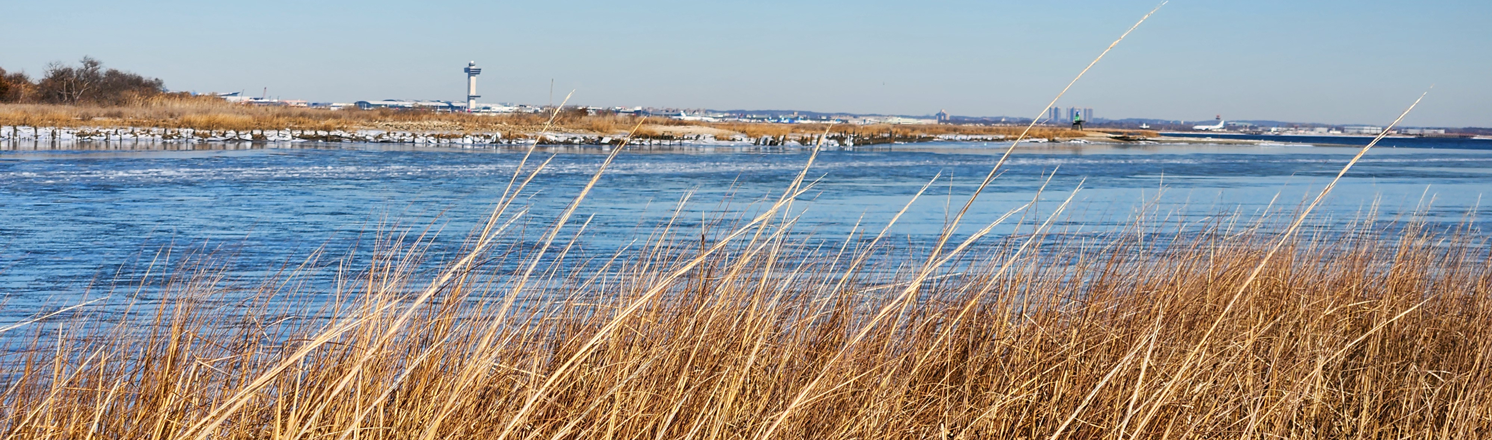Rockaway Community Park hiking trails