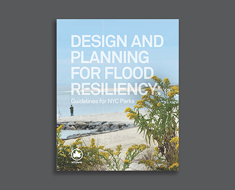 Cover of the publication Design and Planning for Flood Resiliency 