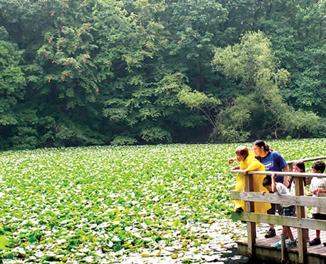 A parent and child looking over the railing of a wood pier at a marsh