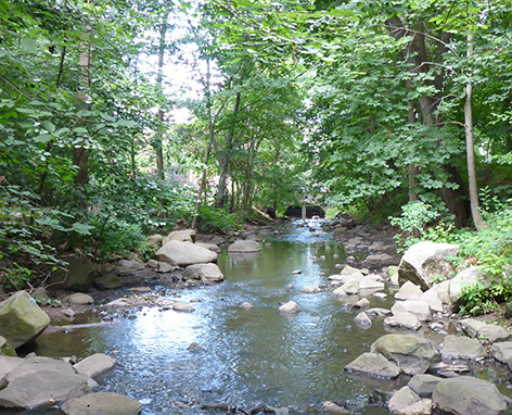 A stream surrounded by woods with a stone bridge in the background