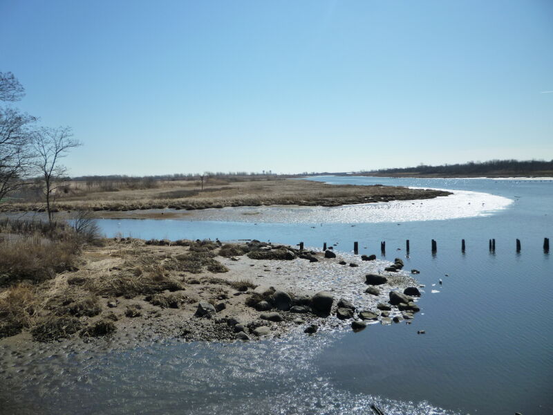 Salt Marsh looking out from the Nature Center