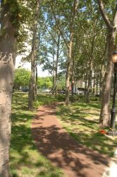 Fresh New Ground to Walk Upon