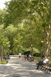 Relaxing on a June Day