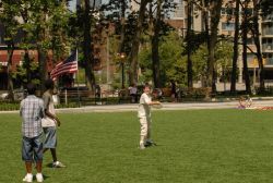A Game of Frisbee on the Lawn