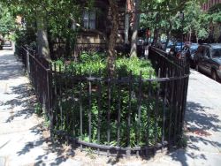 Abe Lebewohl Triangle