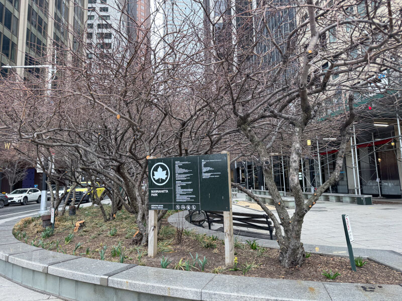 Trees lining Manhatta Park