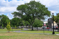 Rainey Park