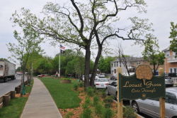 Locust Grove Civic triangle, May 3, 2010