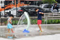 Pulaski Park
