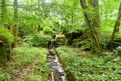 Seton Falls Park