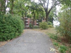 Phyllis Post Goodman Park