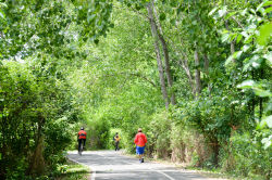 Soundview Park