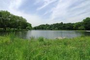 Peaceful Kissena Lake 
