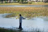 A Boy Fishes at Baisley Pond 