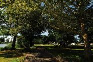 Baisley Pond Park 