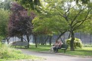 Enjoying a Bench in Kissena Park 